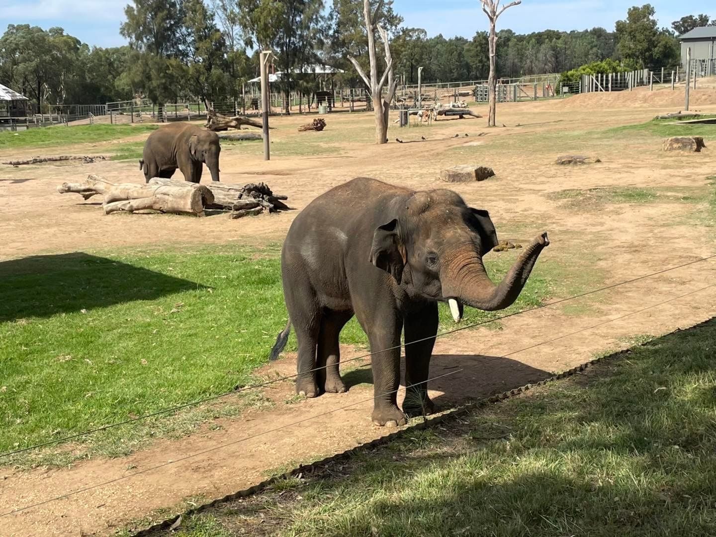 Dubbo Zoo 2025 Image -67de04aa8a746